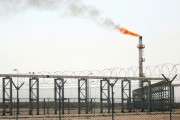 Iraq faces financial calamity after crude crash