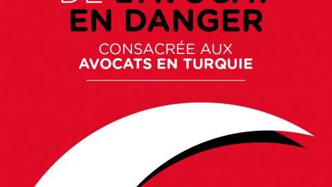 Journée internationale de l'avocat en danger : rassemblement pour les avocats turcs menacés