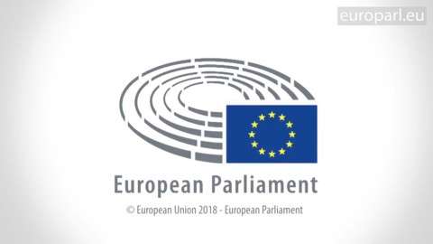Le Parlement européen condamne l'invasion militaire turque