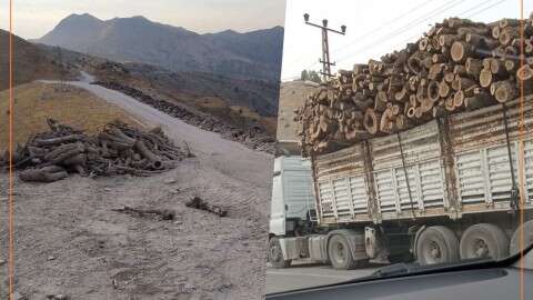  KRG warns Turkey to stop ‘unacceptable’ deforestation